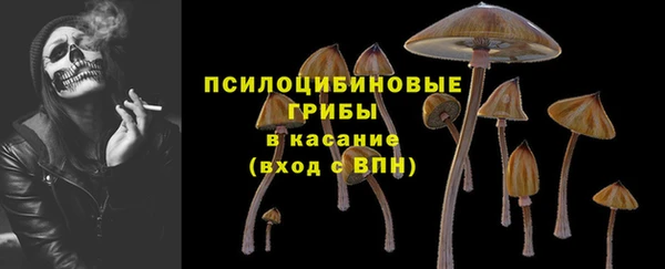 ПСИЛОЦИБИНОВЫЕ ГРИБЫ Аркадак