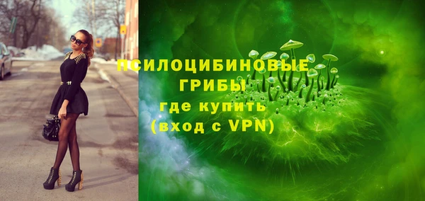 ПСИЛОЦИБИНОВЫЕ ГРИБЫ Аркадак